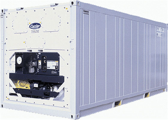 China 20RF utilizó los contenedores del refrigerador de cbm del volumen 76,3 del envase del chaquetón proveedor